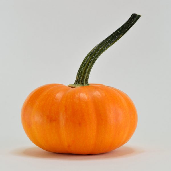 close-up-delicious-food-673073